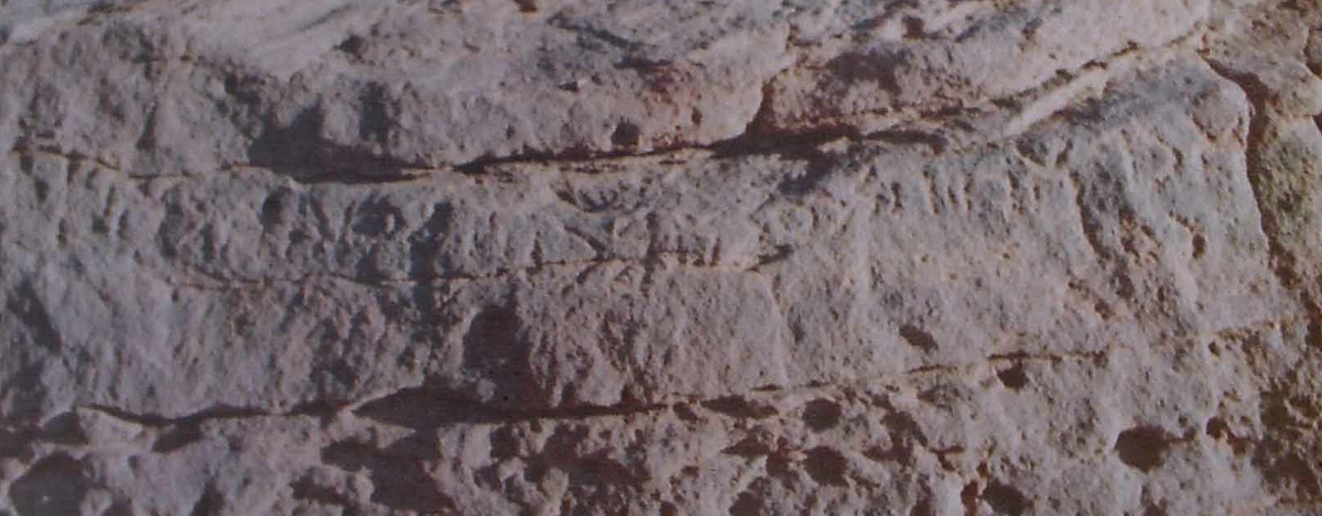 inscription of siglum Nasif 1988: 59, pl. LX