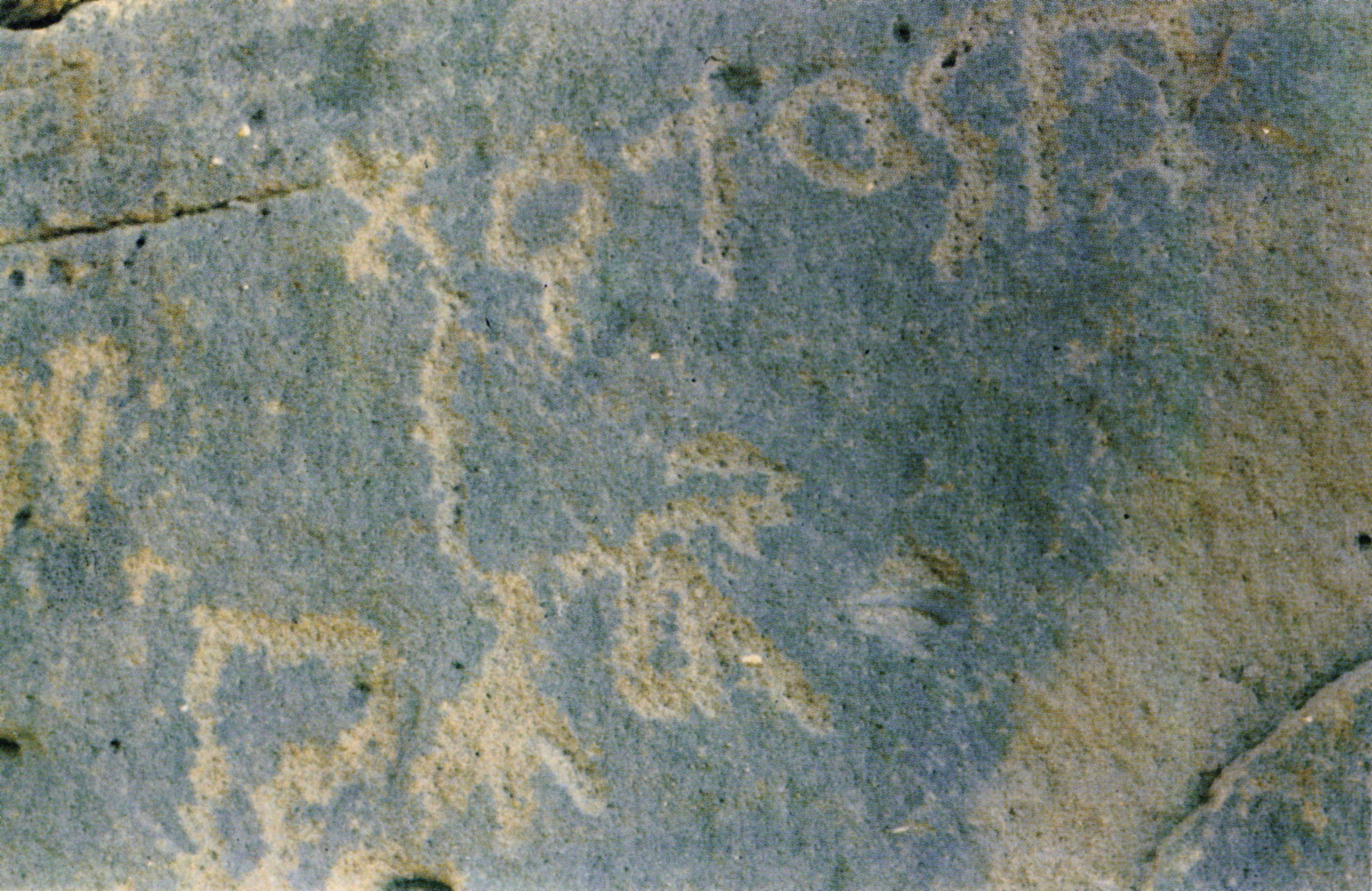 inscription of siglum Nasif 1988: 60, pl. LXII/a