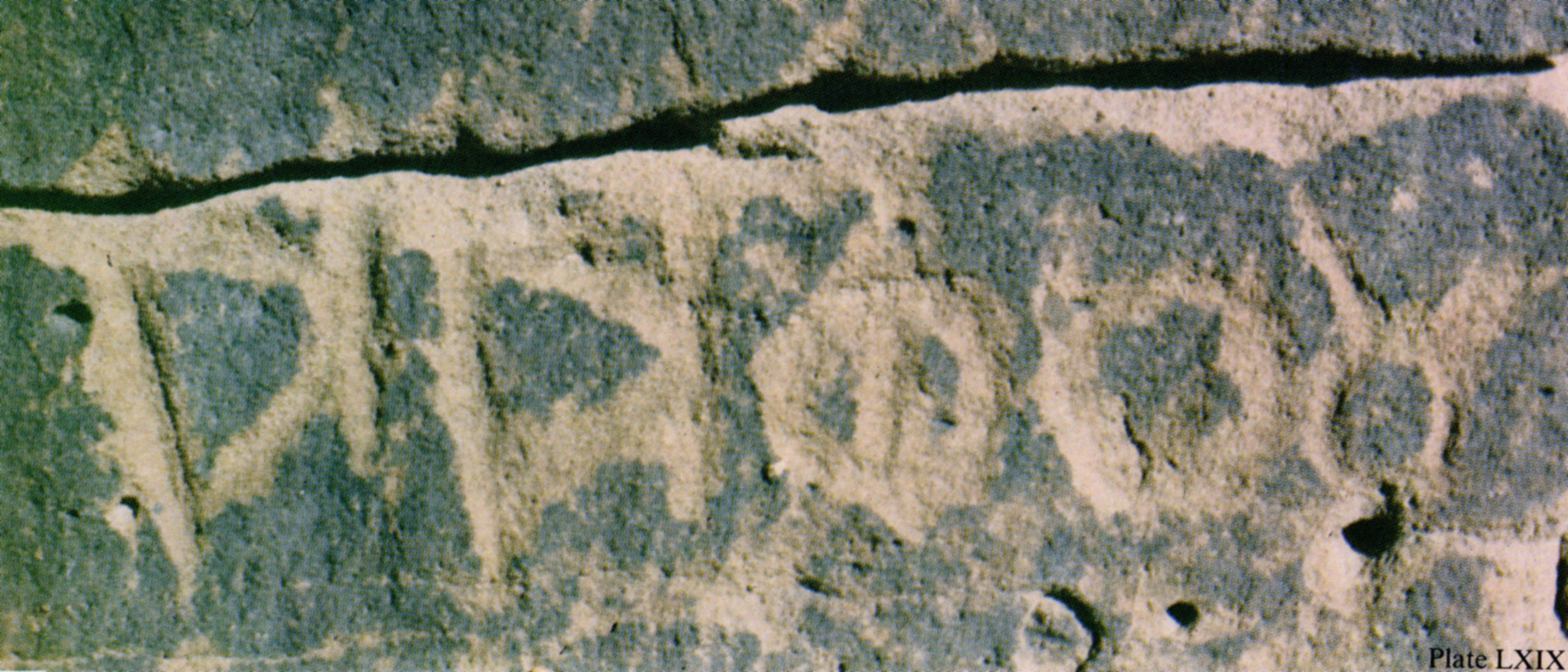 inscription of siglum Nasif 1988: 64, pl. LXIX