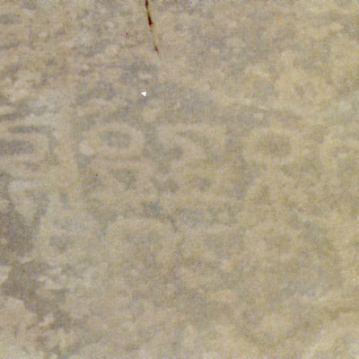 inscription of siglum Nasif 1988: 66, pl. LXXV/a