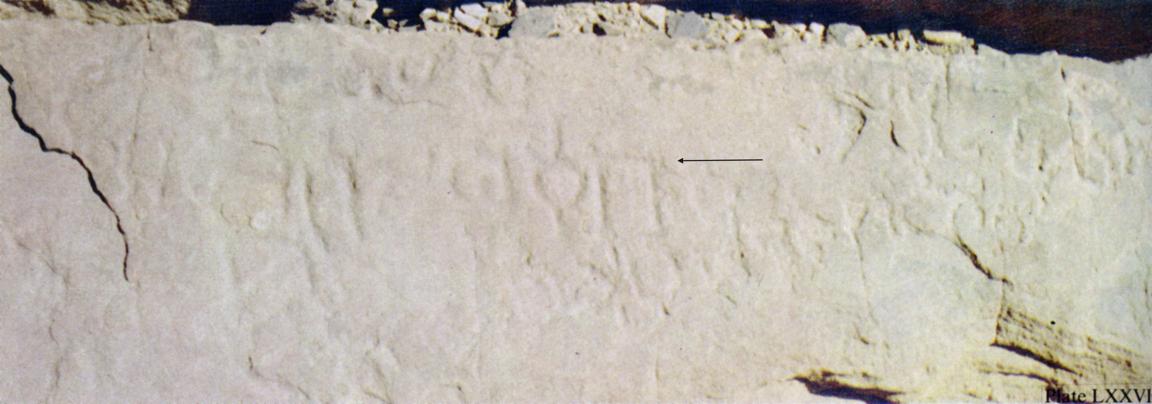 inscription of siglum Nasif 1988: 66, pl. LXXVI