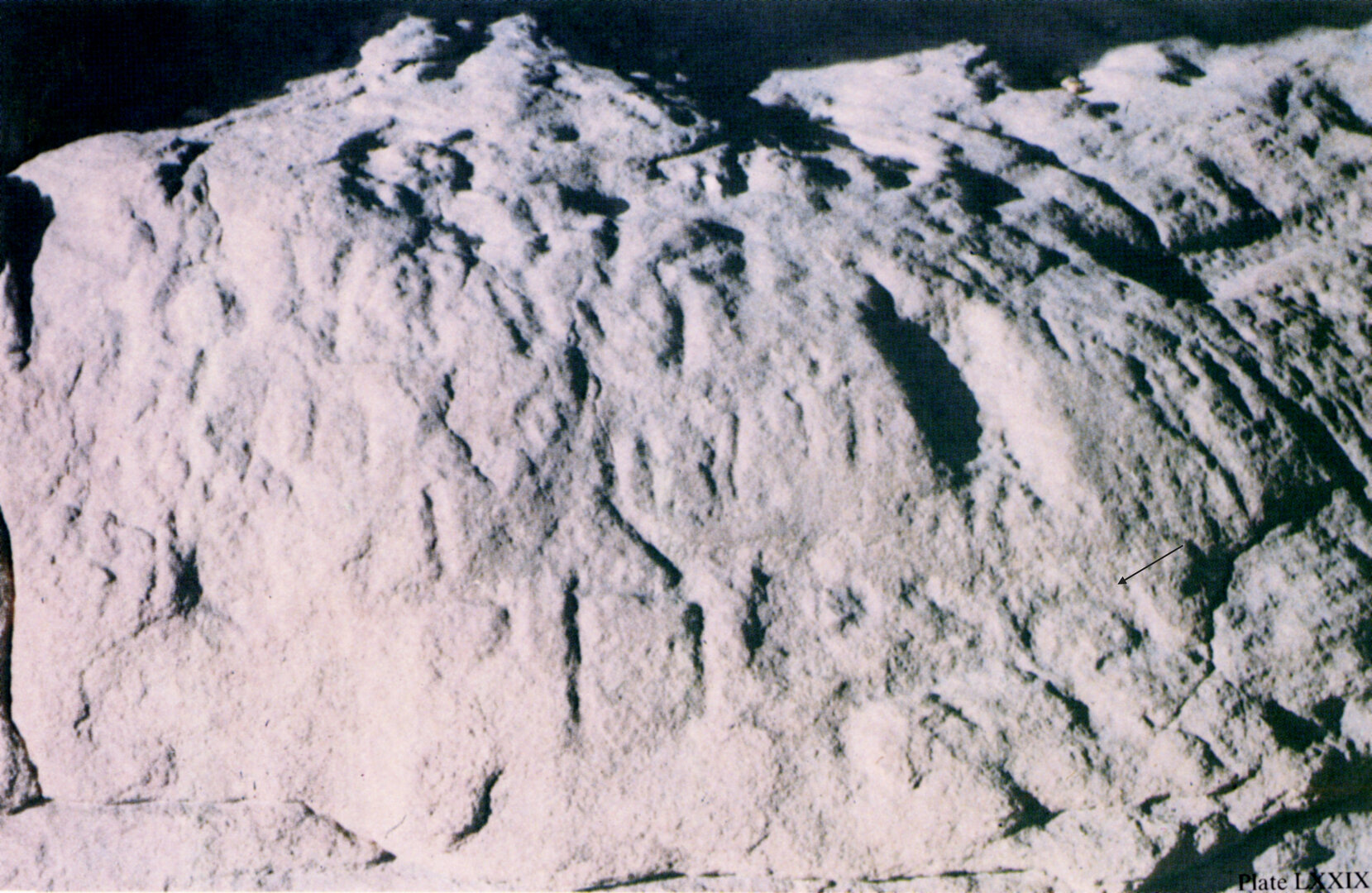 inscription of siglum Nasif 1988: 68, pl. LXXIX