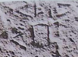 inscription of siglum Nasif 1988: 69, pl. LXXXI(b)