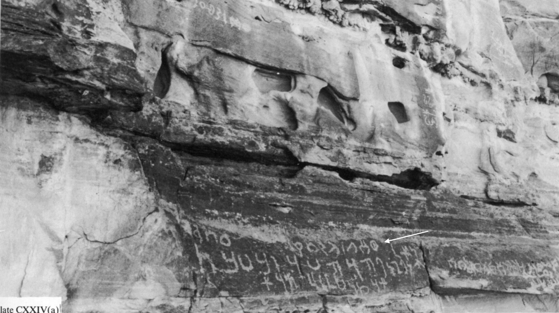 inscription of siglum Nasif 1988: 89, pl. CXXIV(a)/a