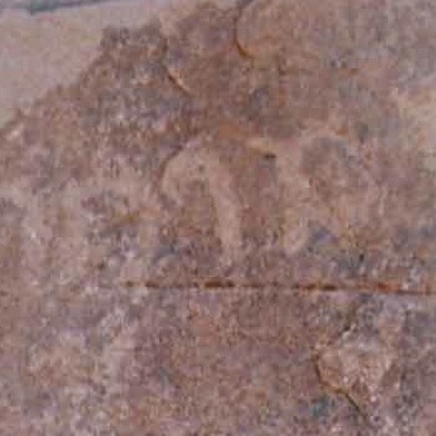 inscription of siglum Nasif 1988: 90, pl. CXXV