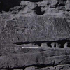 inscription of siglum Nasif 1988: 91, pl. CXXX/f