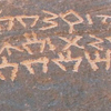 inscription of siglum Nasif 1988: 96, pl. CXLIV