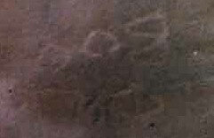 inscription of siglum Nasif 1988: 97, pl. CXLIX/b