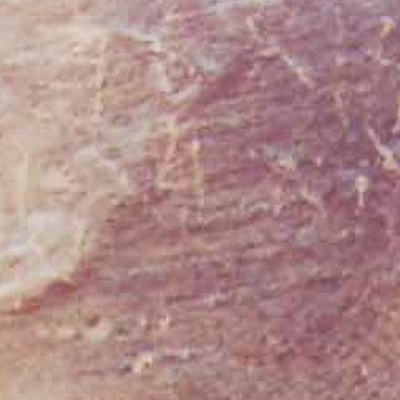 inscription of siglum Nasif 1988: 97, pl. CXLVII