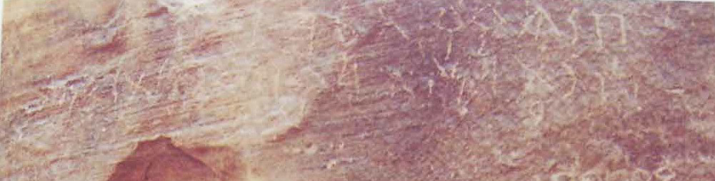 inscription of siglum Nasif 1988: 97, pl. CXLVII