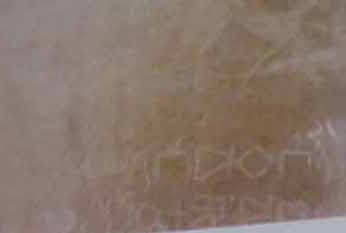 inscription of siglum Nasif 1988: 98, pl. CL