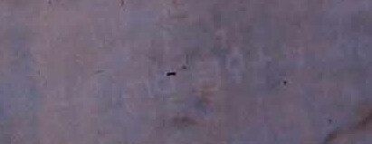 inscription of siglum Nasif 1988: 98, pl. CLII