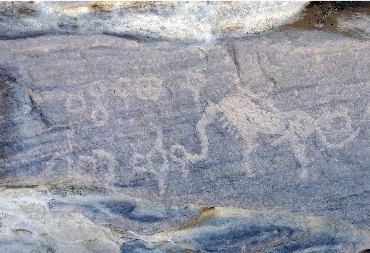 Image of PNTH 3