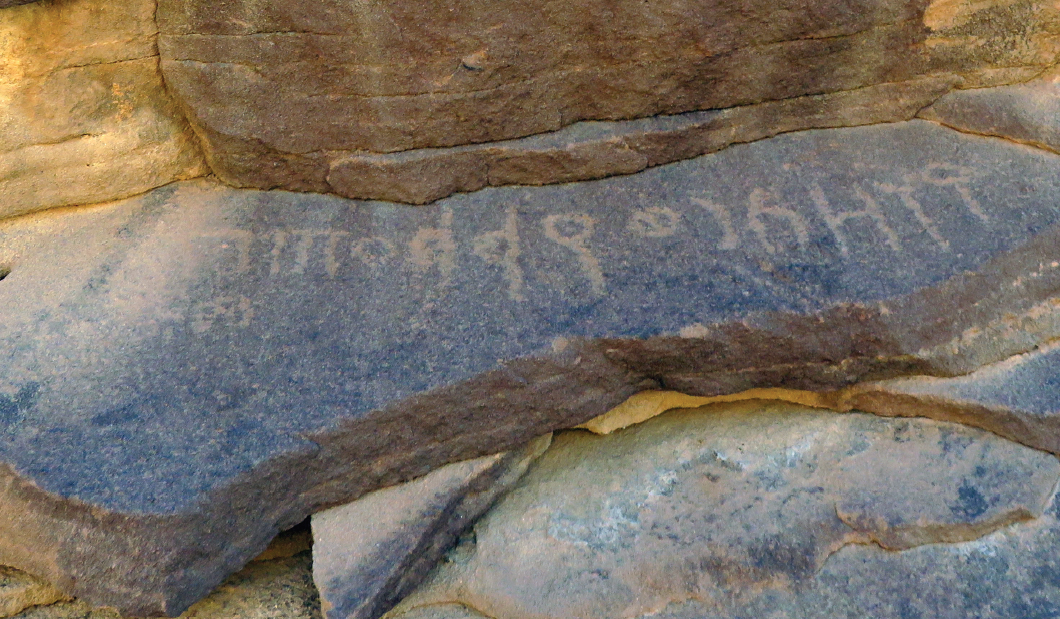 Image of PNTH 8