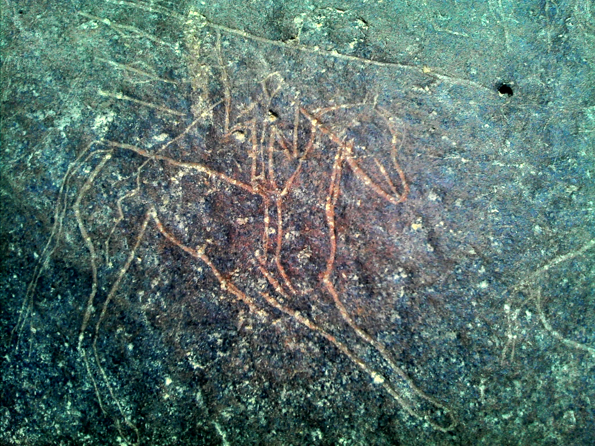 inscription of siglum PWS 1