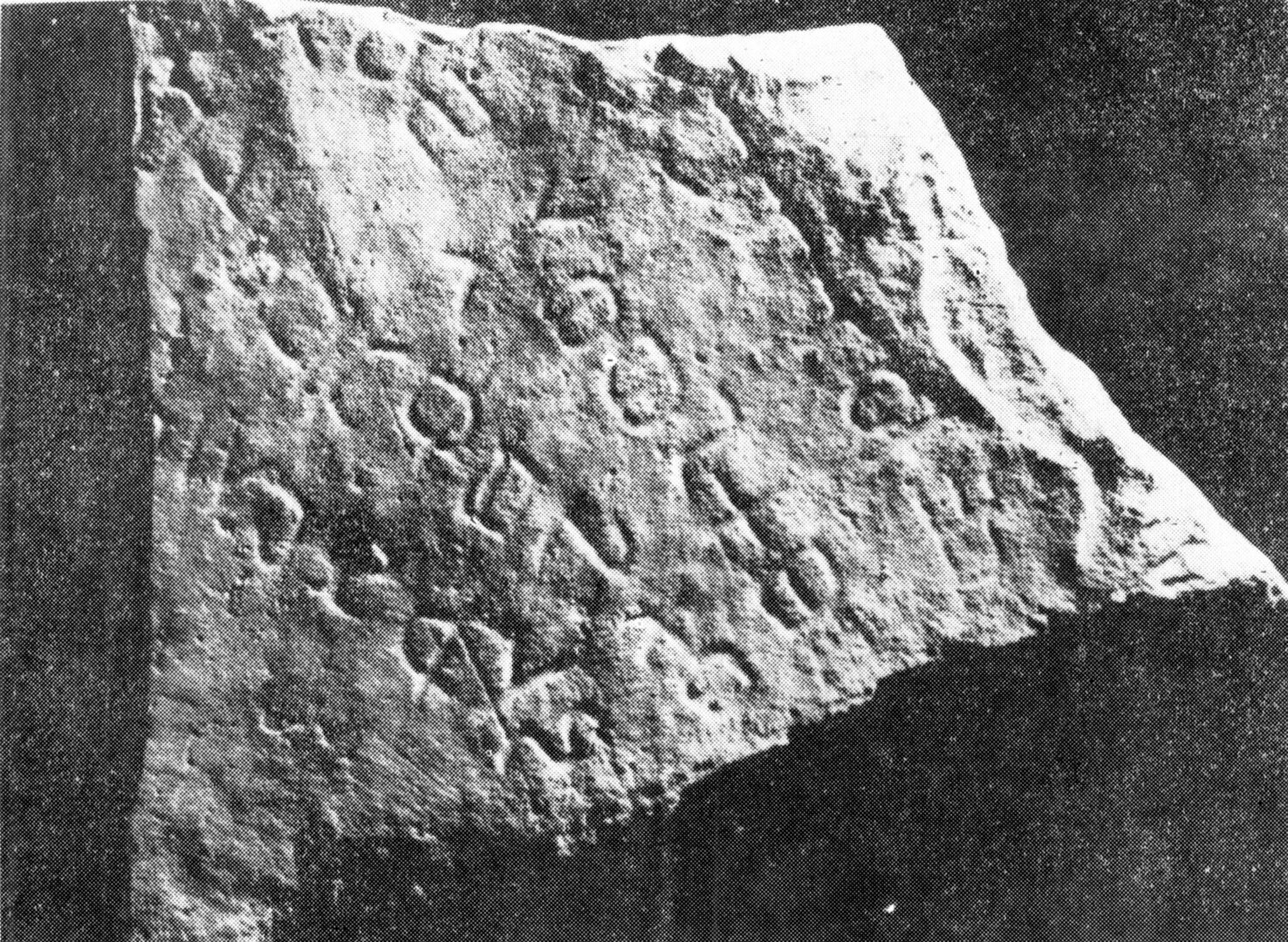 inscription of siglum Palmyra Museum 1357.2