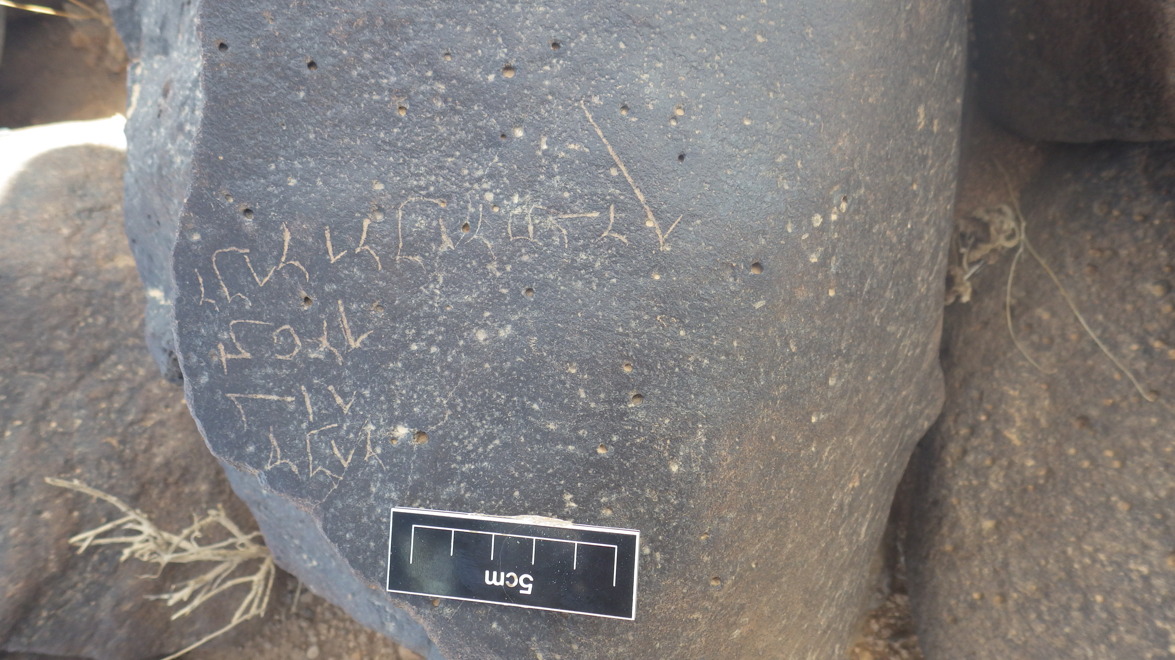 Image of siglum Palmyrene 2