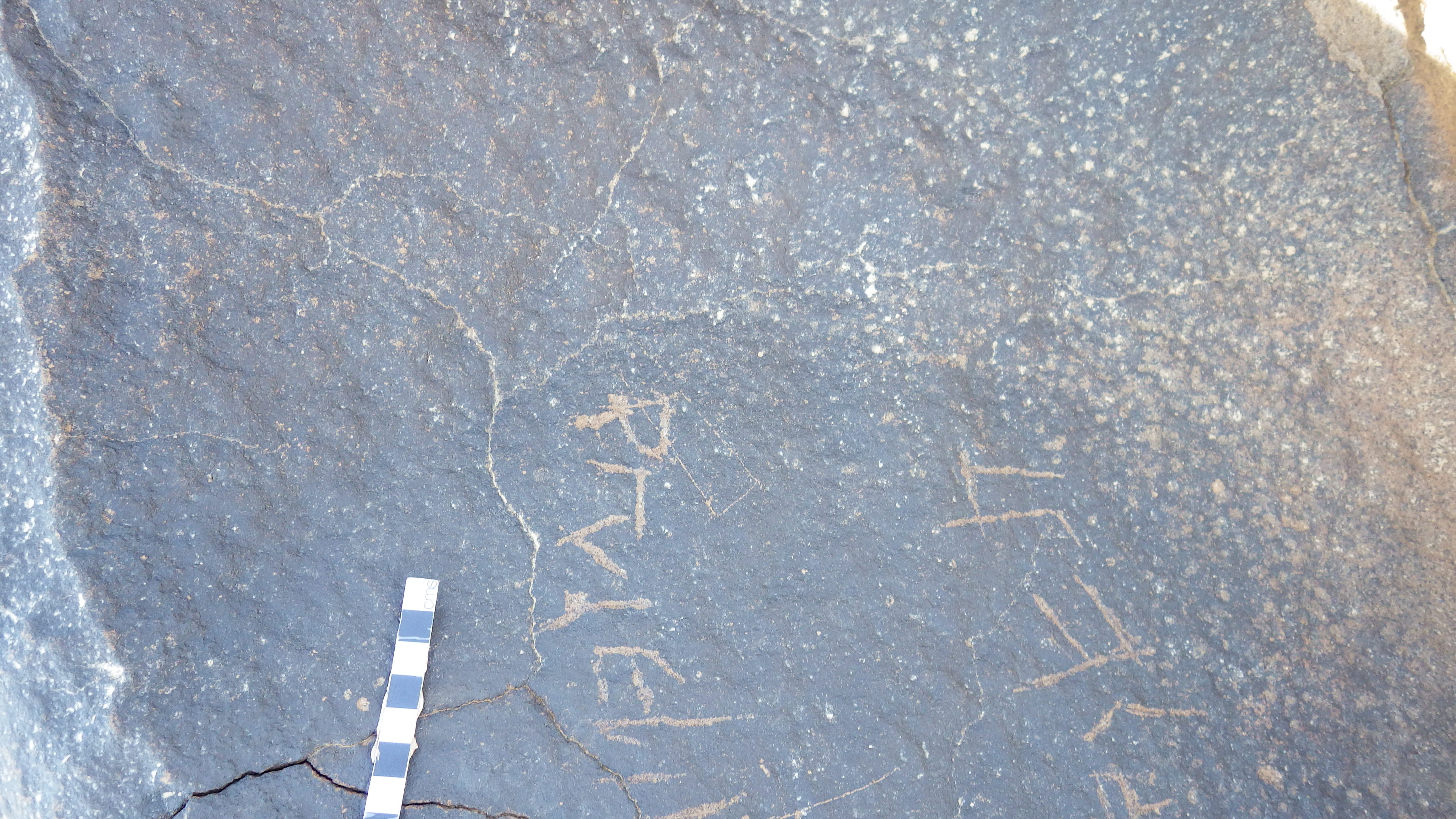 inscription of siglum Palmyrene 5