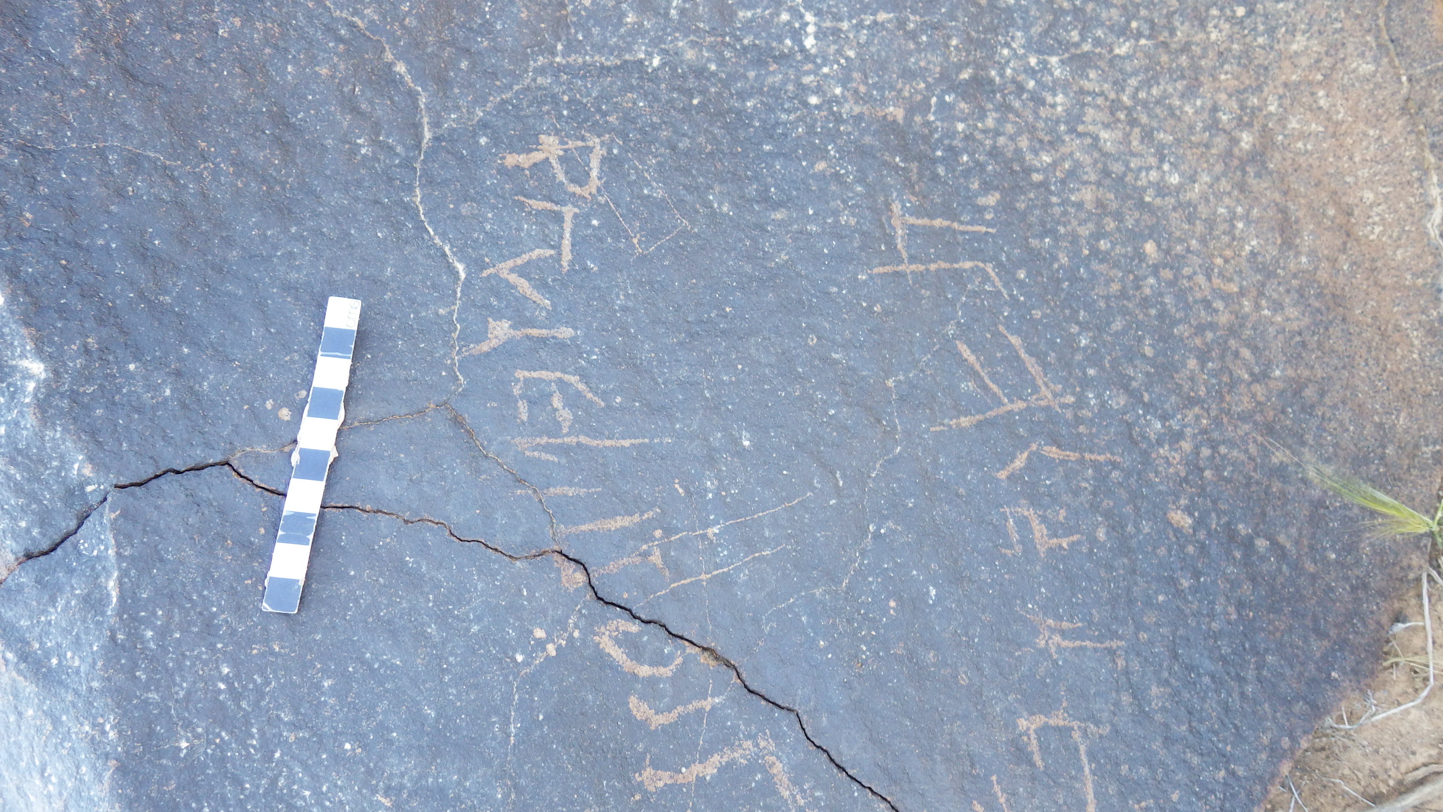 inscription of siglum Palmyrene 5