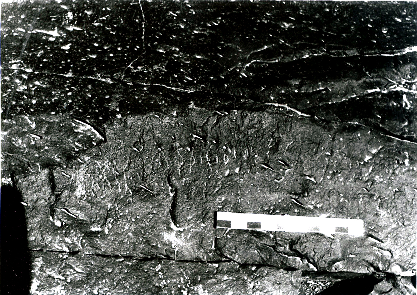 inscription of siglum QWs 8