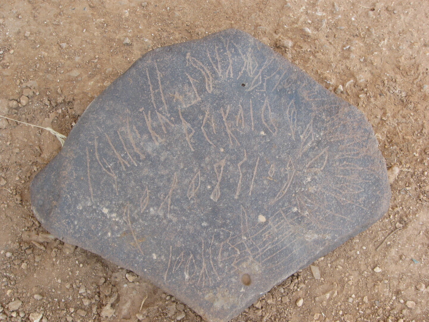 inscription of siglum QZMJ 446