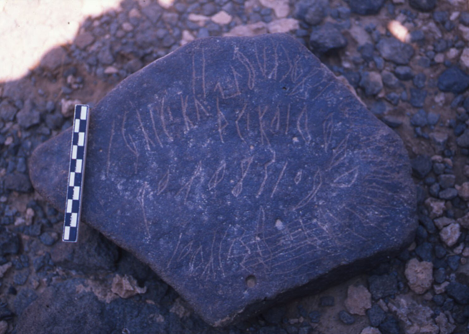 inscription of siglum QZMJ 446