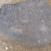 inscription of siglum QZMJ 461