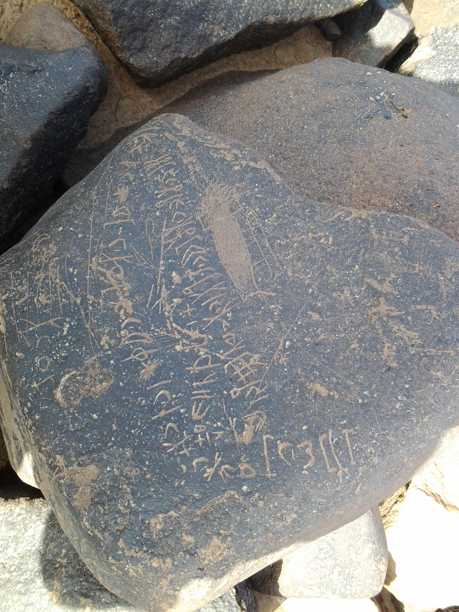 inscription of siglum QZMJ 635