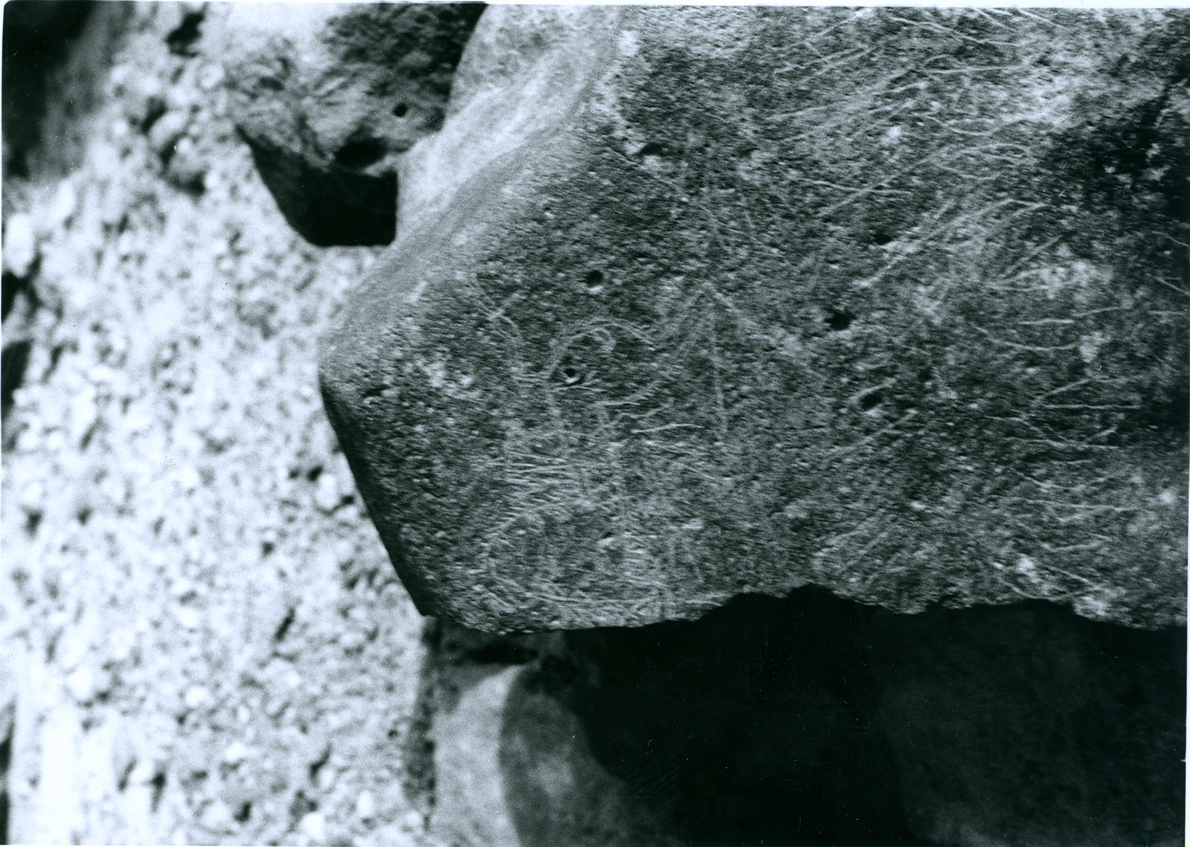 inscription of siglum RR 14