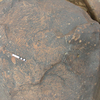 inscription of siglum RSIS  123