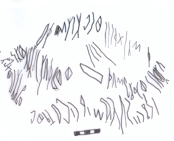 inscription of siglum RSIS  139