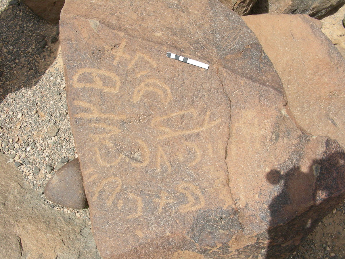 inscription of siglum RSIS  223