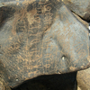 inscription of siglum RSIS  231