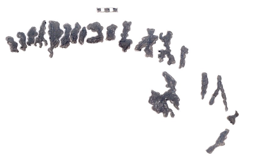 inscription of siglum RSIS  296