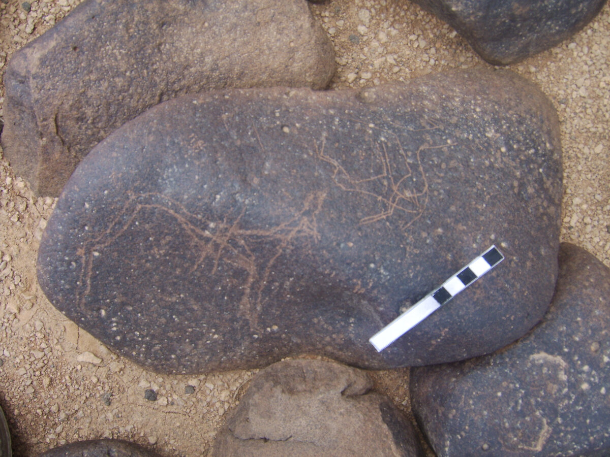 inscription of siglum RSIS  301
