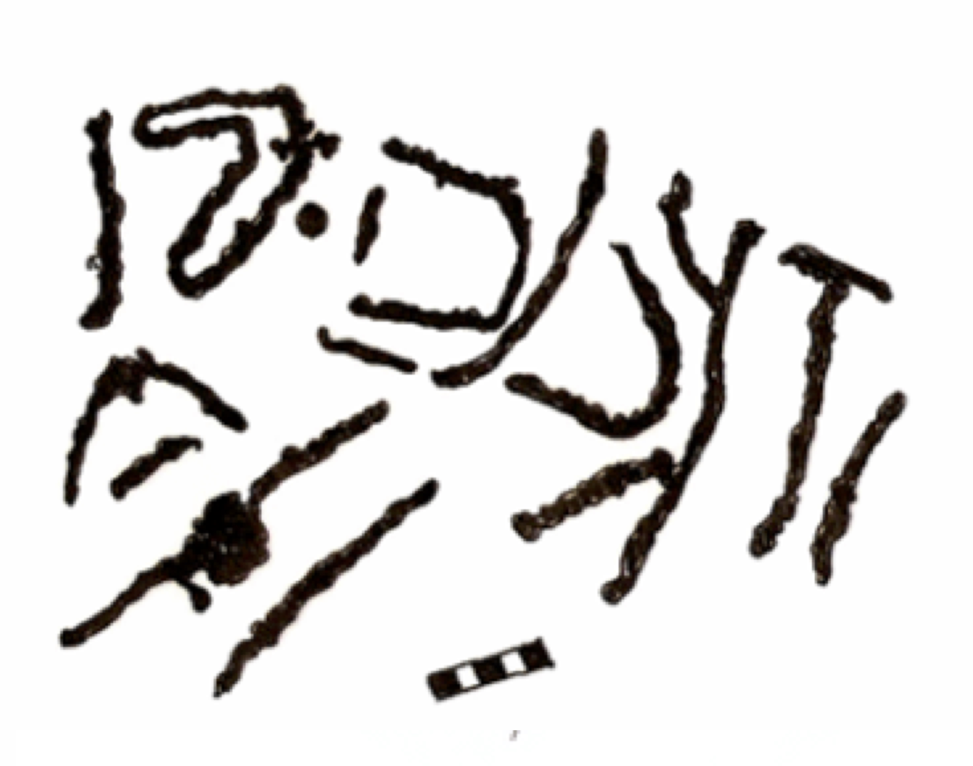 inscription of siglum RSIS  4