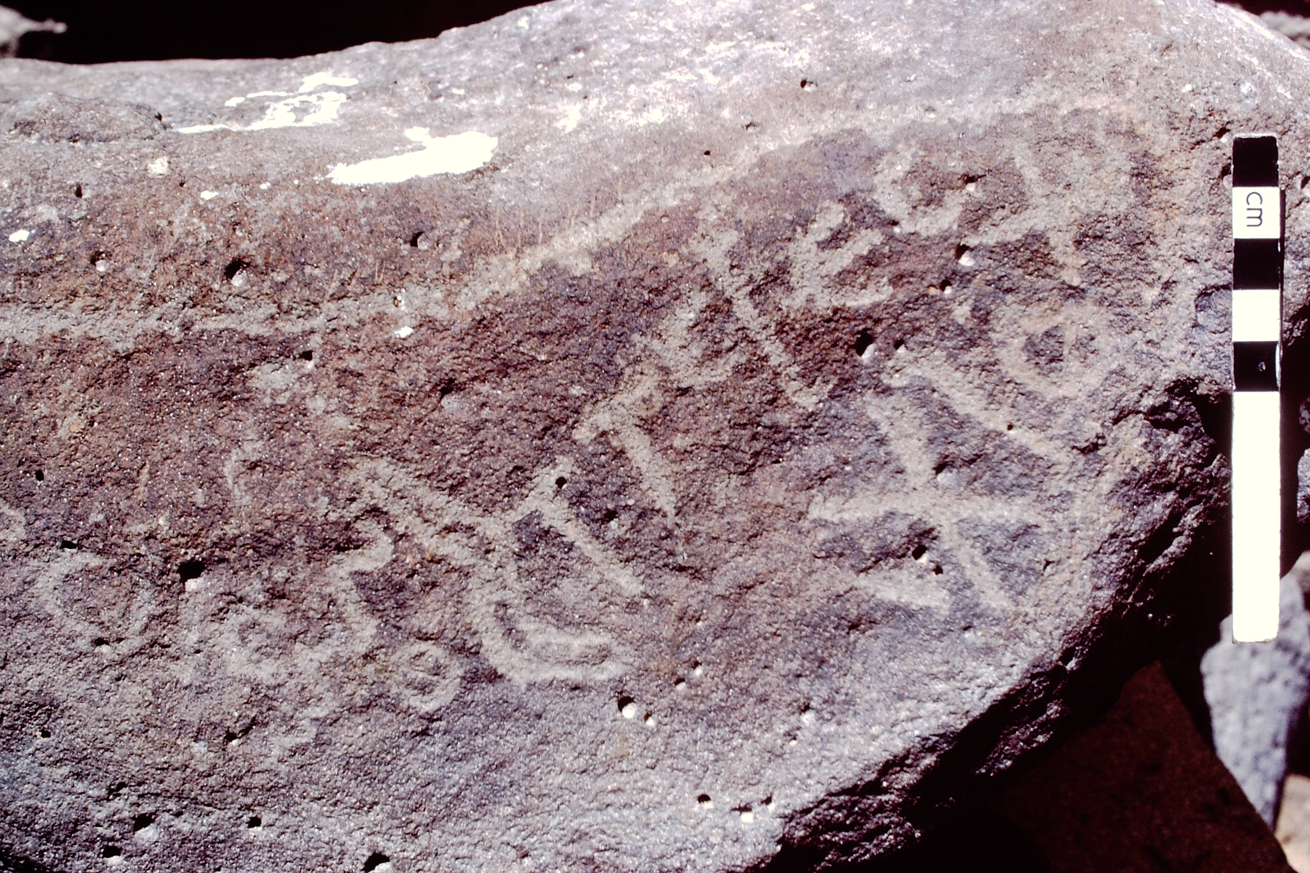 inscription of siglum RVP 7