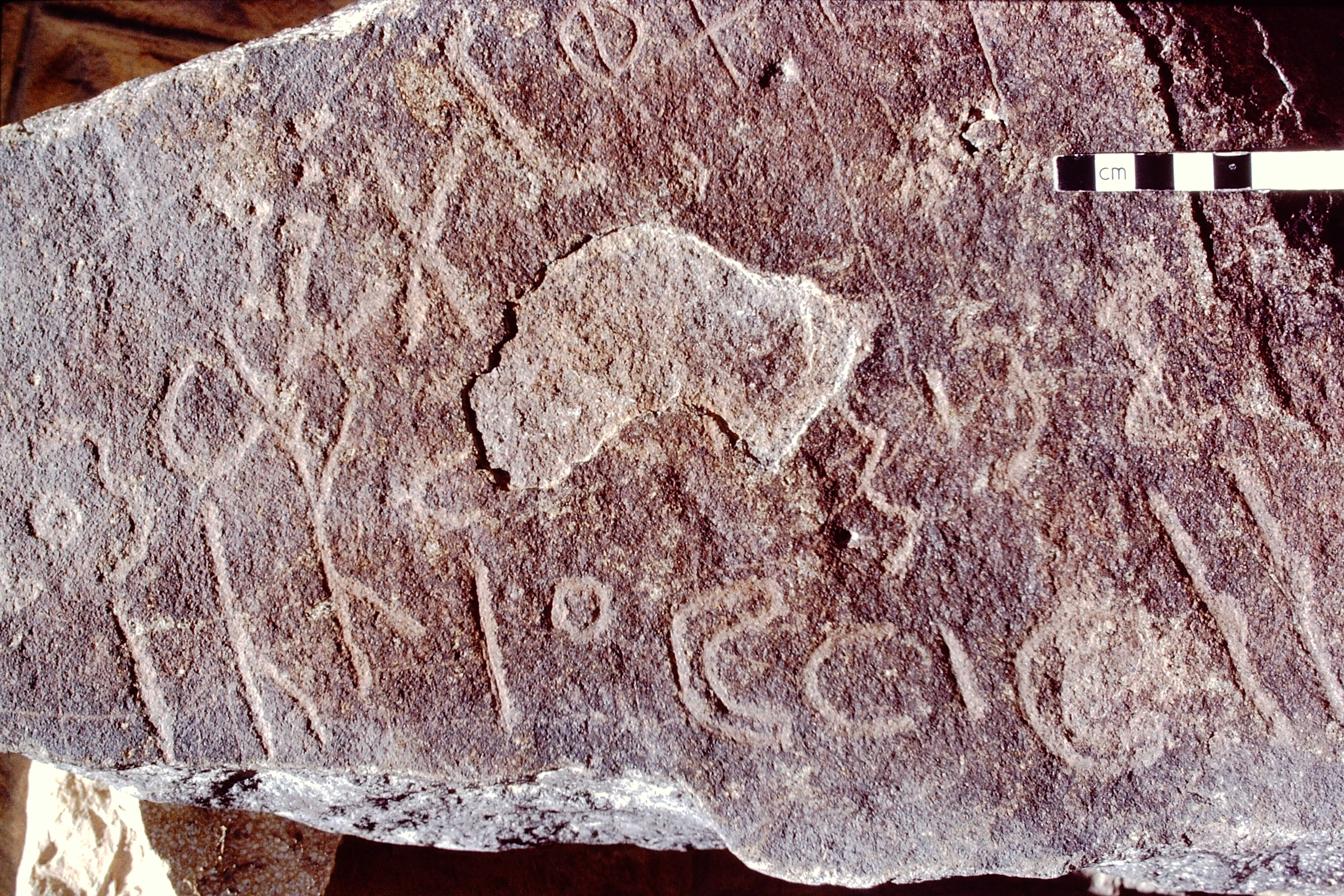 inscription of siglum RVP 9.3