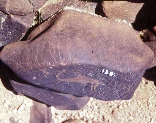 inscription of siglum RWQ 108