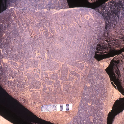 inscription of siglum RWQ 172