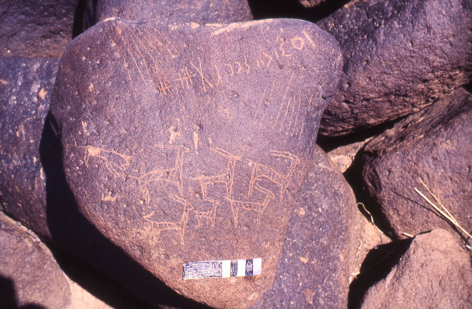 inscription of siglum RWQ 172