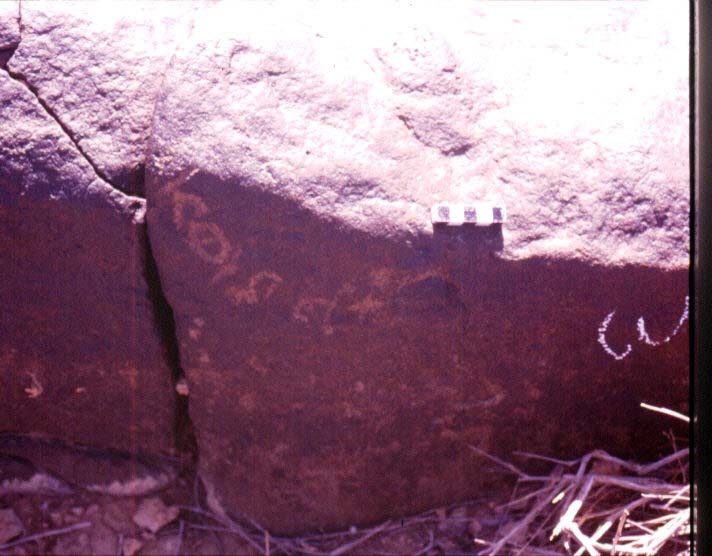 inscription of siglum RWQ 194