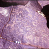 inscription of siglum RWQ 197