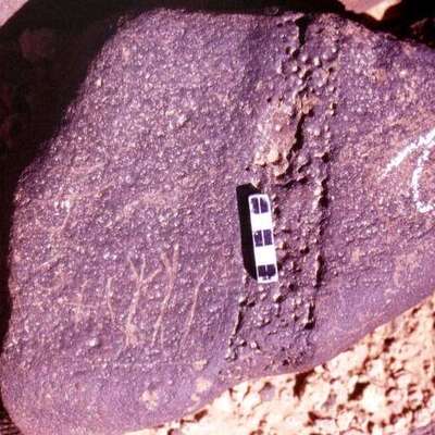 inscription of siglum RWQ 231