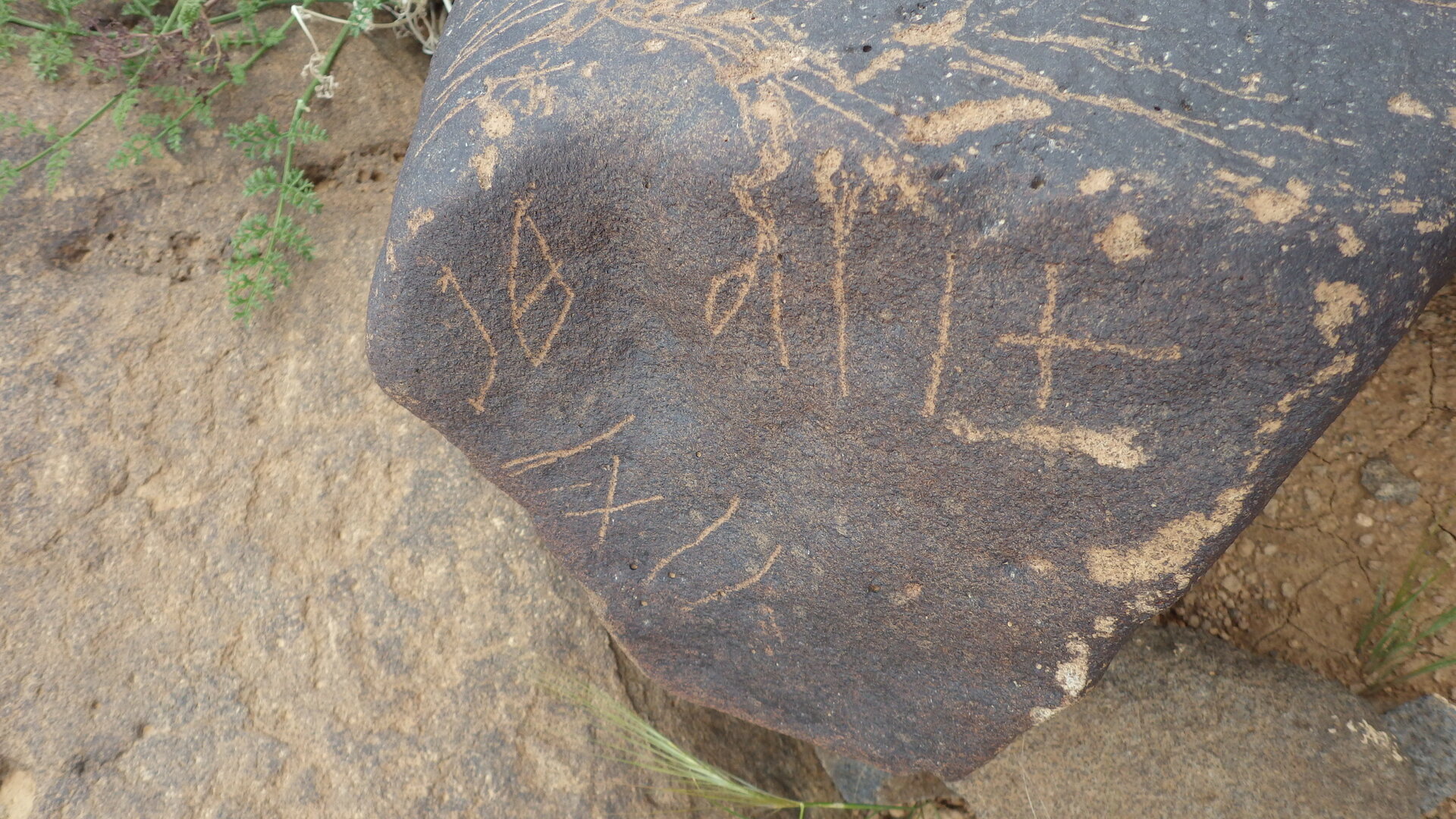 inscription of siglum RWQ 302