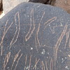 inscription of siglum RWQ 336