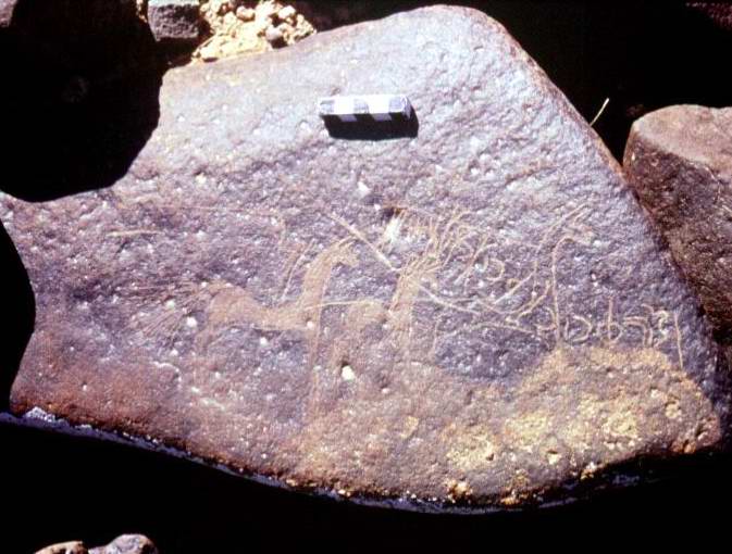 inscription of siglum RWQ 81