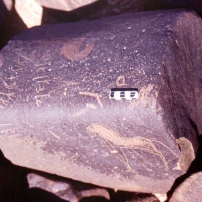 inscription of siglum RWQ 91