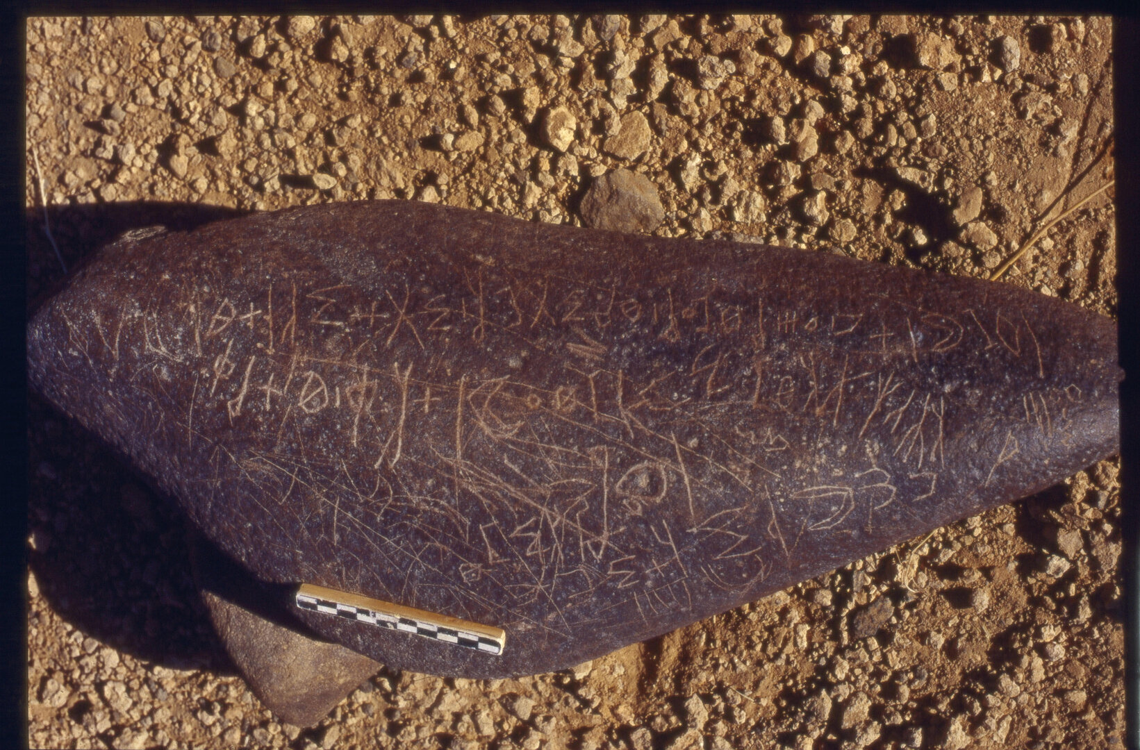 Image of SAWH 1