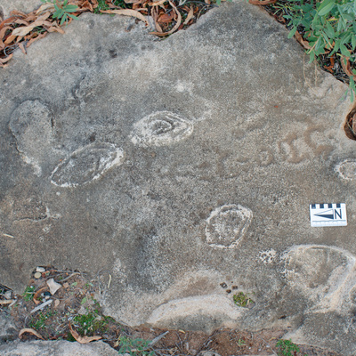 Image of DSh 1